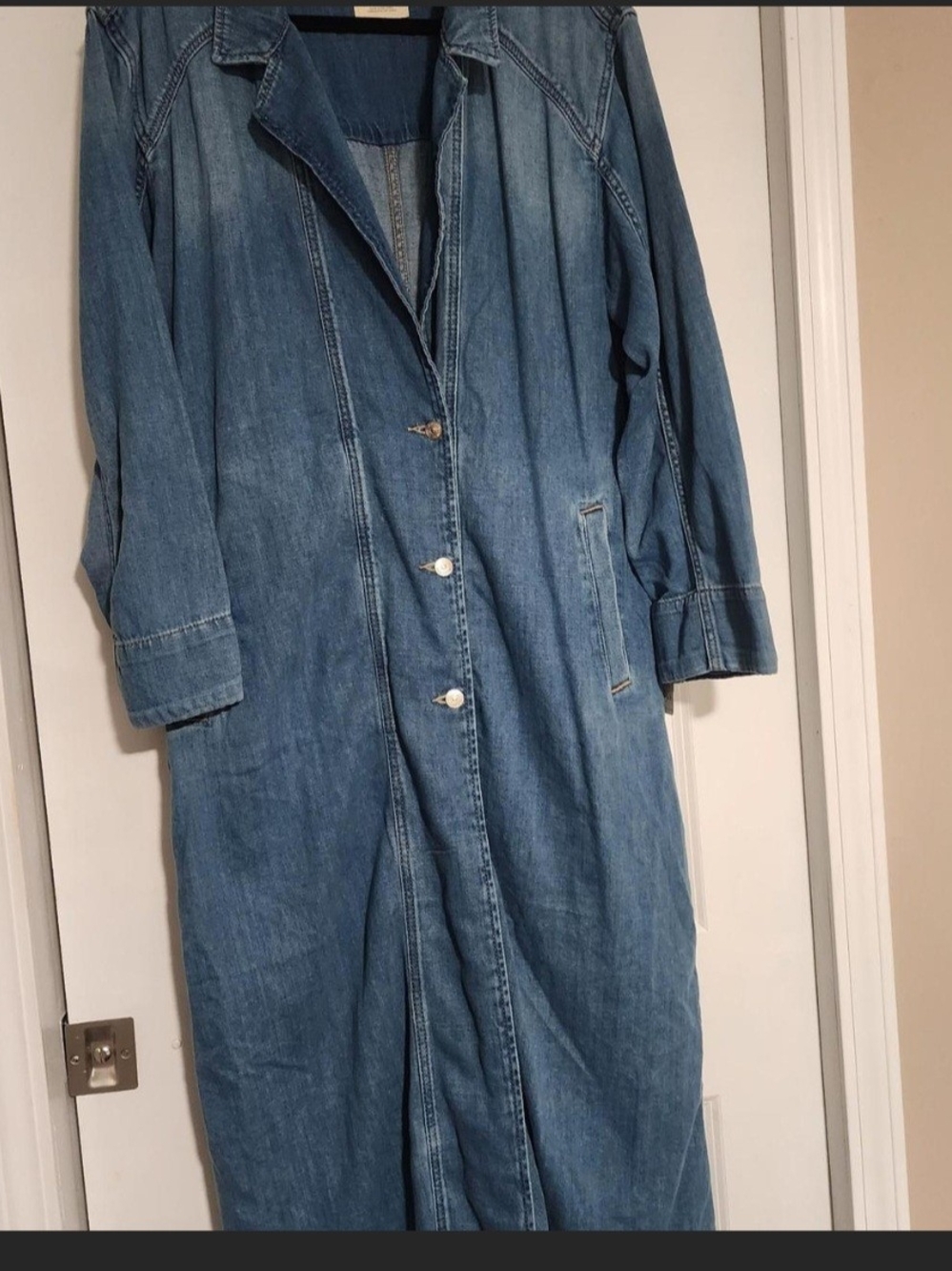 We The Free Light Blue Longline Denim Button-Front Overalls
